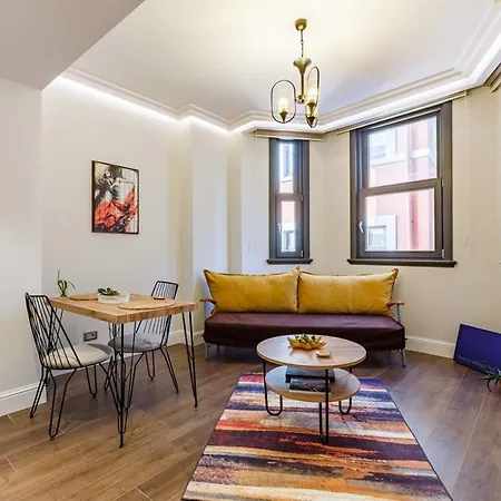 Modern House With Central Location In Beyoglu Apartment *
