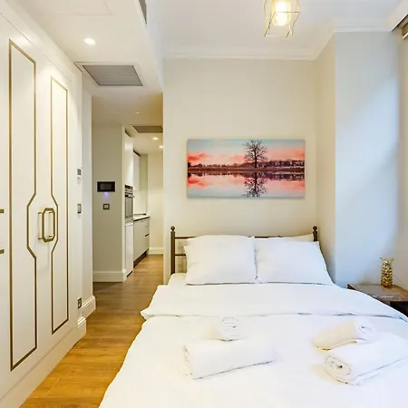 Modern House With Central Location In Beyoglu Apartment Istanbul