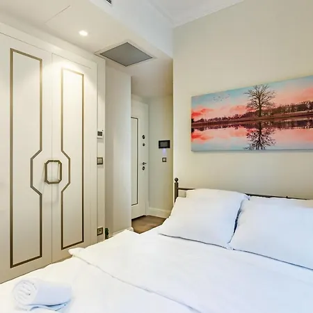 Modern House With Central Location In Beyoglu *